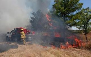 Incendi, arrestata piromane: è una casalinga di 66 anni