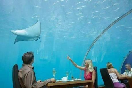 ristorante sottomarino – mangiare guardando i pesci