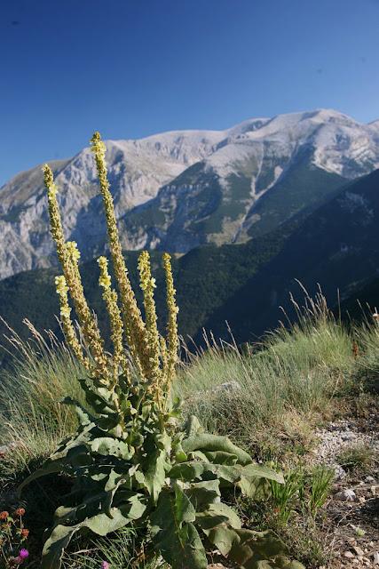 Suggestioni d'Abruzzo