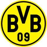 Borussia Dortmund Borussia Dortmund: Campionato, DFB Pokal, fatturato ed utili record