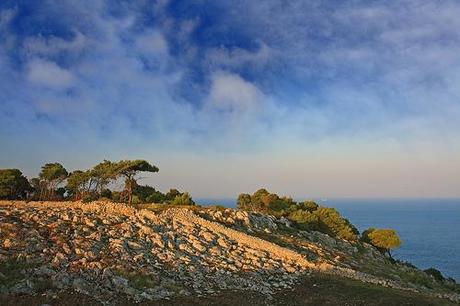 Another day in paradise