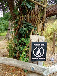 Una gita al giardino botanico