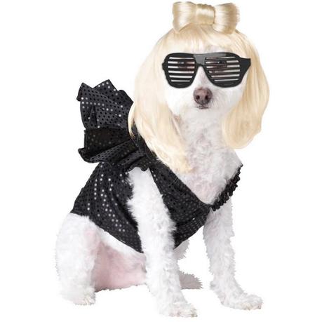 Lady Gaga Inspired Dog Costume