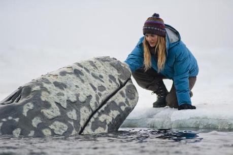 Big Miracle - Qualcosa di straordinario