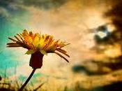 Pensiero posted Mititica Mihai