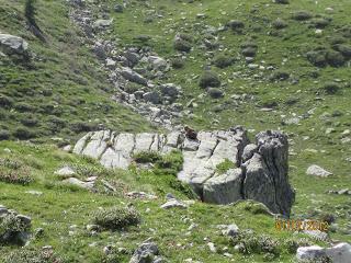 Rifugio Tita Secchi e il Lago della Vacca