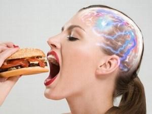 Il cibo spazzatura fa male al cervello