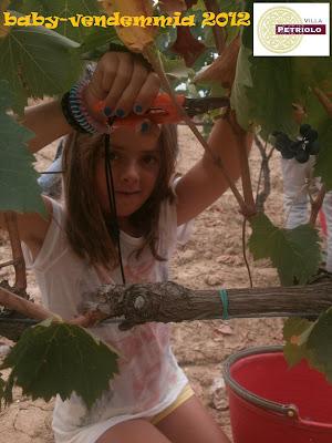 Baby-vendemmia 2012 a Villa Petriolo