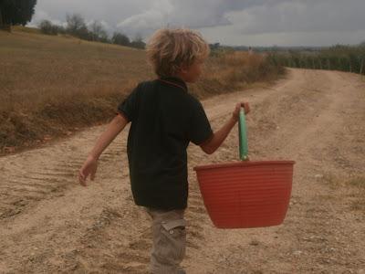 Baby-vendemmia 2012 a Villa Petriolo