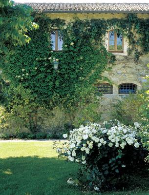 Piantate un giardino e prendetevene buona cura