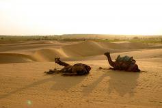 Rajasthan: Jaisalmer – 8° giorno