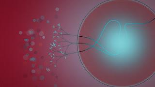 Eufloria in arrivo anche su PS Vita e dispositivi certificati Playstation