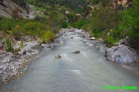 Rafting Calabria