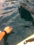 Kayak fishing con aguglia salvacappotto