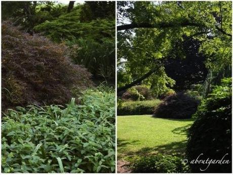 giardino di Villa Genova