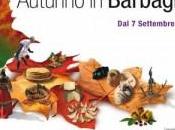 Sardegna Torna Autunno Barbagia