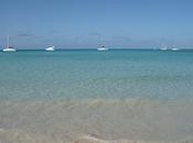 Gioie dolori: Maiorca