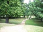 RICHMOND PARK