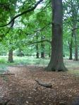 RICHMOND PARK