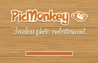 Modificare le immagini con Pickmonkey