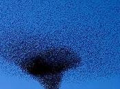 concetto d’entropia