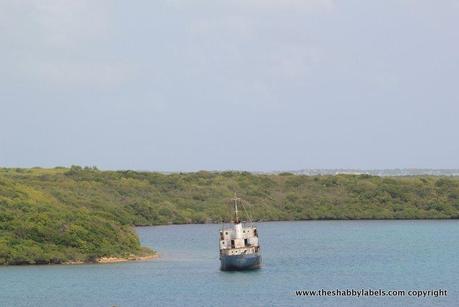 Caraibi day 11, Antigua: swimming with the stingrays