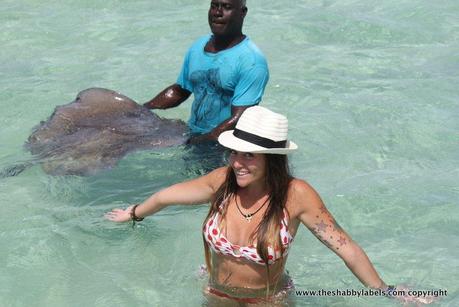 Caraibi day 11, Antigua: swimming with the stingrays