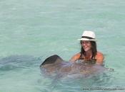 Caraibi Antigua: swimming with stingrays