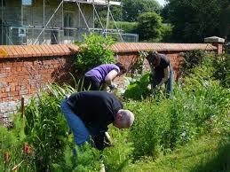 RILASSATI E TONICI CON LA GREEN GYM