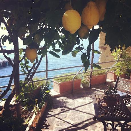 Under The Yellow Lemon Tree