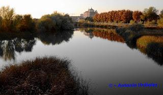 La natura dal punto di vista di Antonio Uridales