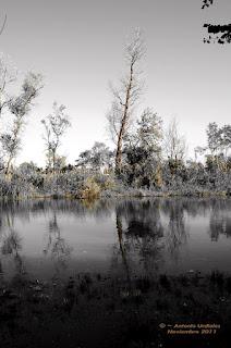 La natura dal punto di vista di Antonio Uridales