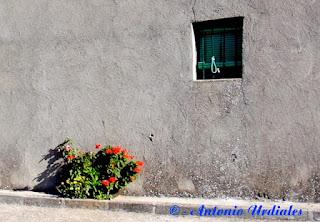 La natura dal punto di vista di Antonio Uridales