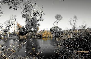 La natura dal punto di vista di Antonio Uridales