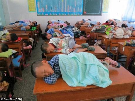 The nappiest days of their lives: Pupils from Xi'an in western China catch 40 winks on top of their desks