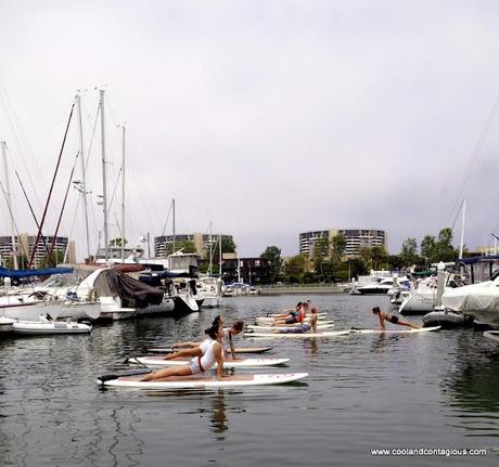 Yogaqua, where the ocean is your yoga mat