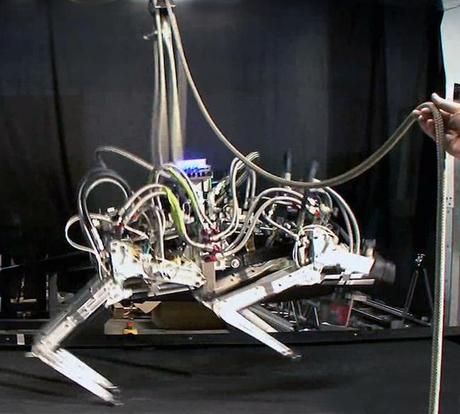 Il robot a quattro zampe più veloce del mondo