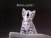 Buonanotte