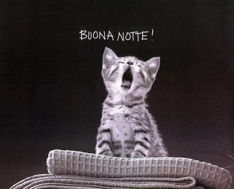 Buonanotte