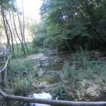 Incendio, Marina di Grosseto, Miniera, Amiata, Cinabro, fosso 171