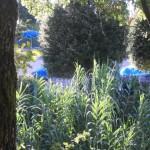 Incendio, Marina di Grosseto, Miniera, Amiata, Cinabro, fosso 180