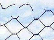 Gocce saggezza parte