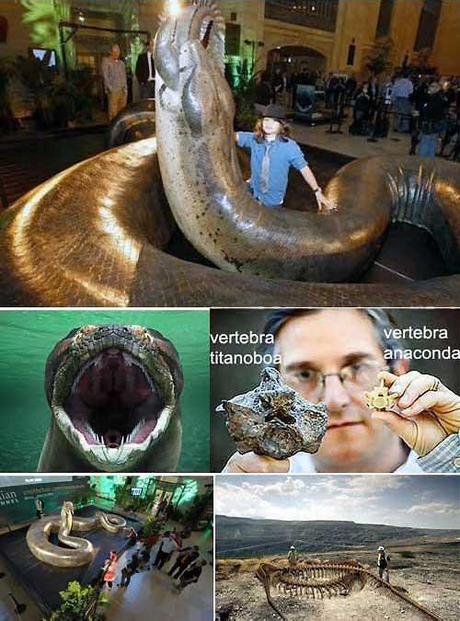 Il più grosso serpente vissuto sulla terra