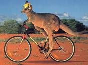 contest della Bimboguchi: vota cartolina brutta