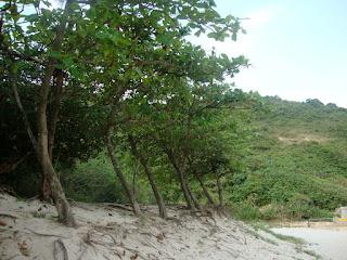 Immagini cantonesi- isola di Lantau