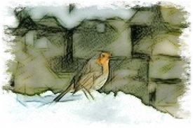 «La felicità, è un passero che lascia sulla neve pochi se...