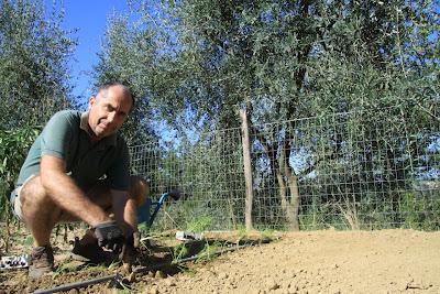 orto, preparativi per l'autunno