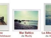 Foto della settimana