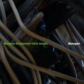 Recensione di Moreagain di Chris Iemulo e Morgane Houdemont, Setola di maiale 2011