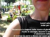DanaGardenAdvice_settembre